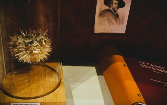 Curieux, vous avez dit curieux ?